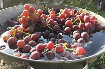 Рецепты блюд с виноградом