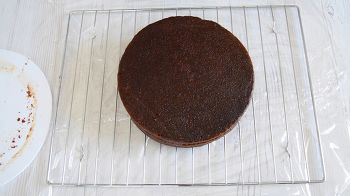 Австрийский «Захер» фото 20 шага рецепта