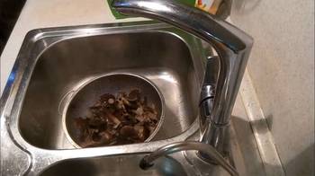 Грибная икра с морковью и луком фото 2 шага рецепта