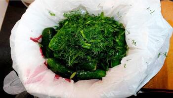 Малосольные огурцы в пакете фото 3 шага рецепта